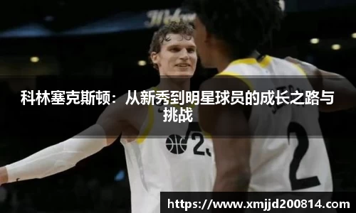 星空.综合体育官网