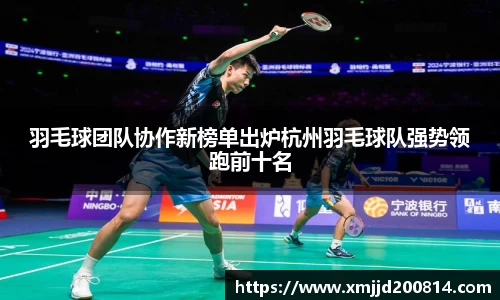 羽毛球团队协作新榜单出炉杭州羽毛球队强势领跑前十名