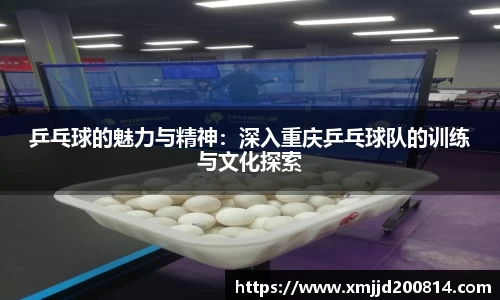 乒乓球的魅力与精神：深入重庆乒乓球队的训练与文化探索