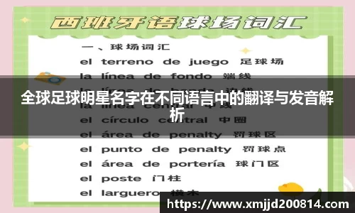 星空.综合体育官网